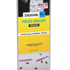 DIGRAIN PIÈGES ENGLUÉS